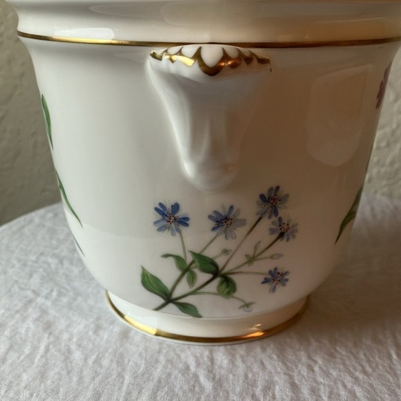 Minton: Meadow smooth pattern Cachepot- Bone China- Made in England- Gold Trim - Picture 4 of 16